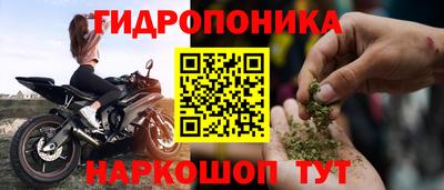 индика Кимры