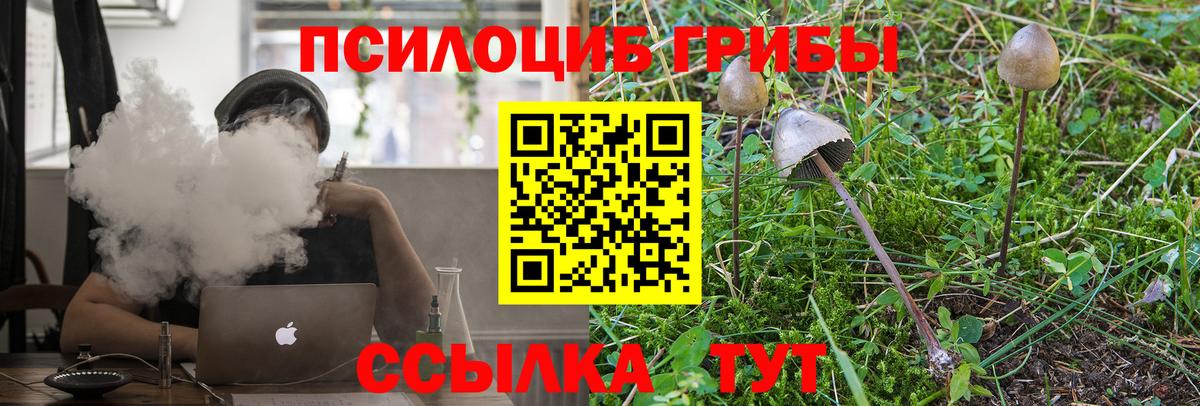 Псилоцибиновые грибы Psilocybine cubensis Сибай