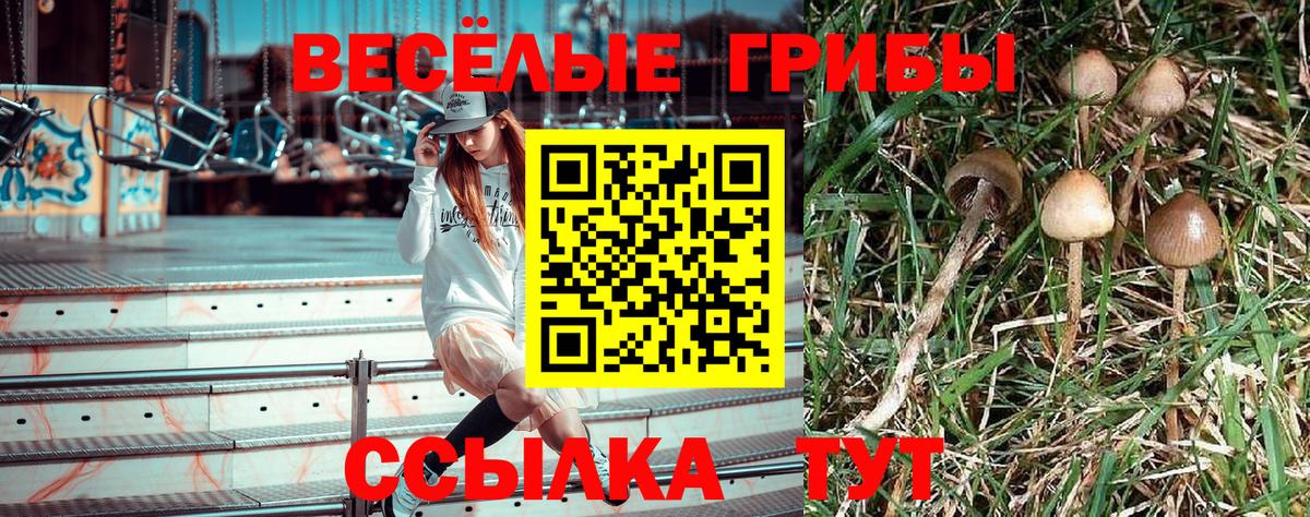 Галлюциногенные грибы ЛСД Сибай